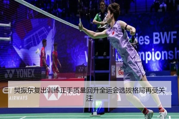 樊振东复出训练正手质量回升全运会选拔格局再受关注